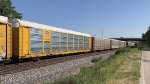 TTGX 158346